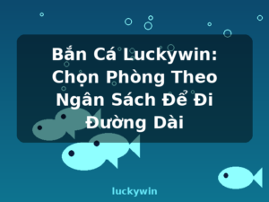 Bắn Cá Luckywin: Chọn Phòng Theo Ngân Sách Để Đi Đường Dài - luckywin