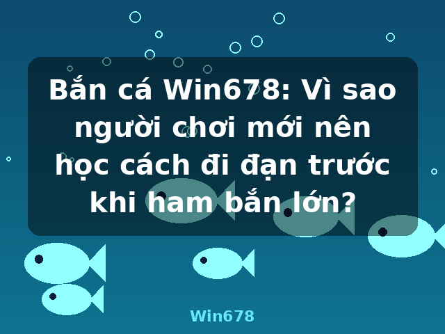 Bắn cá Win678: Vì sao người chơi mới nên học cách đi đạn trước khi ham bắn lớn? - Win678
