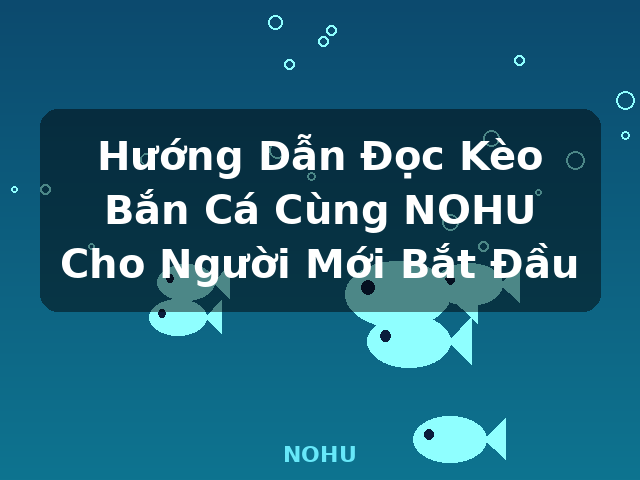 Hướng Dẫn Đọc Kèo Bắn Cá Cùng NOHU Cho Người Mới Bắt Đầu - NOHU
